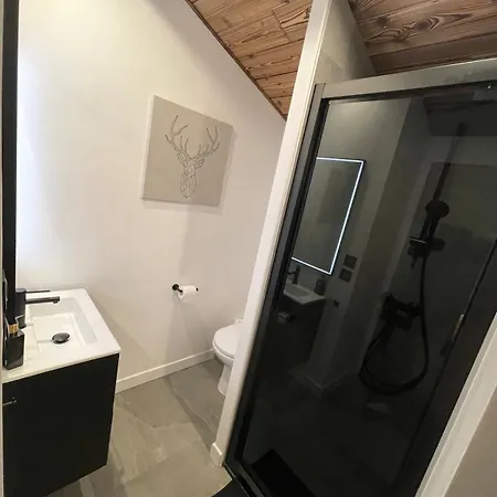 Duplex Au Pieds Telecabine Princesse Megeve *